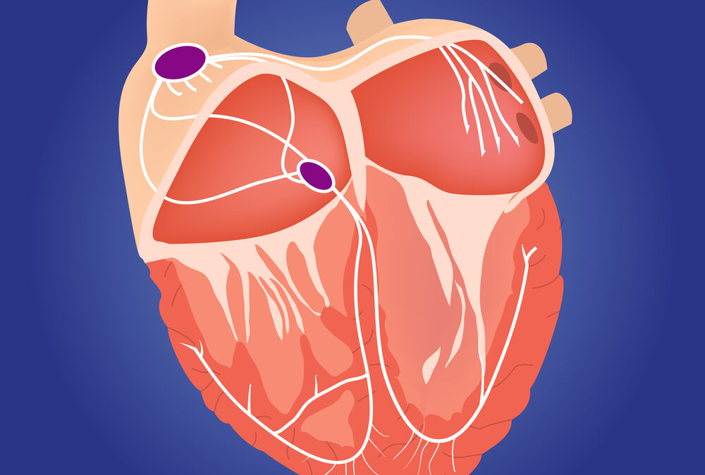 Dr. Robert Kass | Beating arrhythmias with a heart in a dish